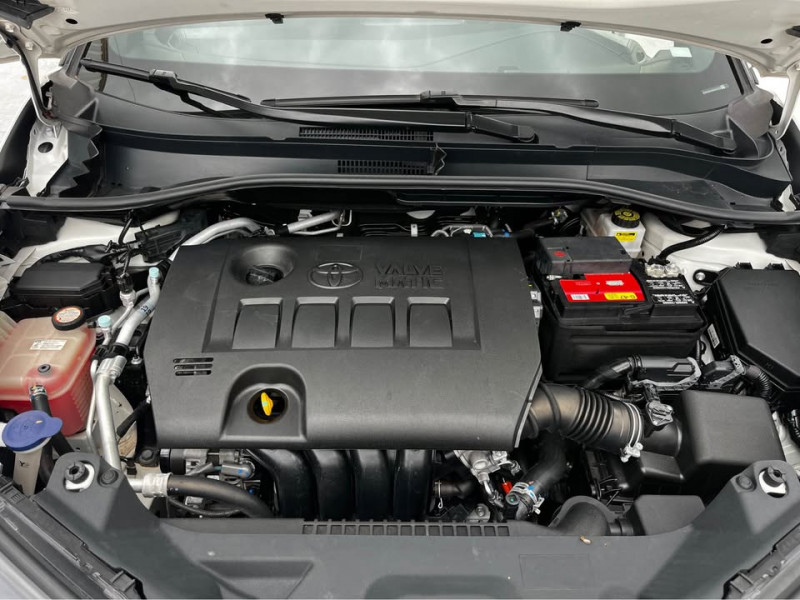 Toyota C-HR Base 2019