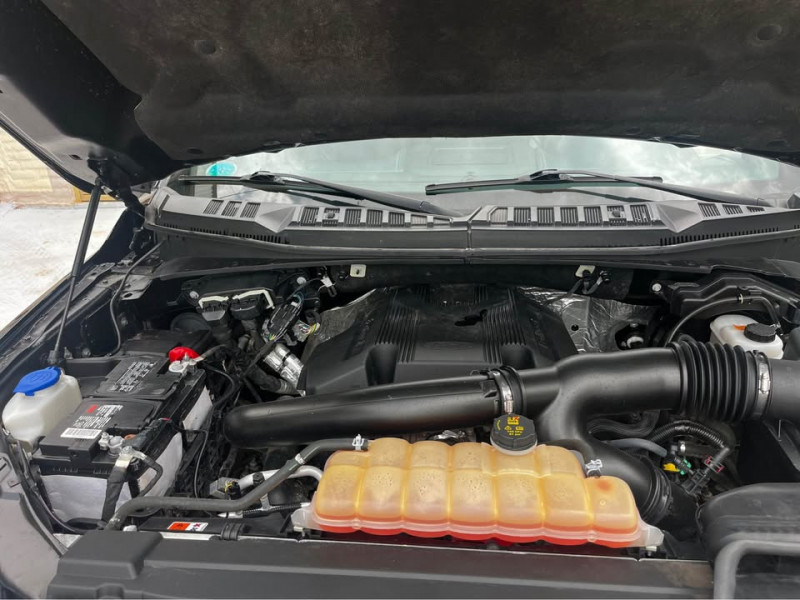 Ford Lobo Crew Cab Platinum Eoboost 2018