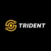 TRIDENT SYSTEMS LLC logo