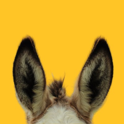 Big Ass Fans logo
