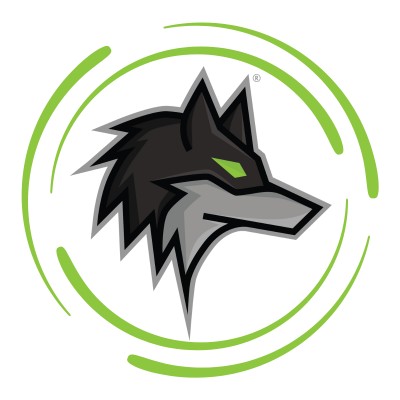 Dark Wolf Solutions logo