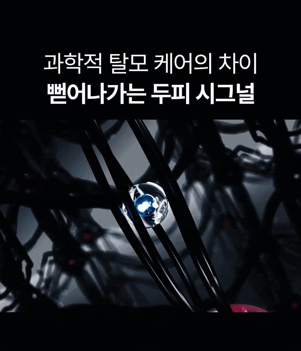 리필드 사이토카인 cADPR 헤어토닉 부스터 프로 70ml 2개 두피앰플