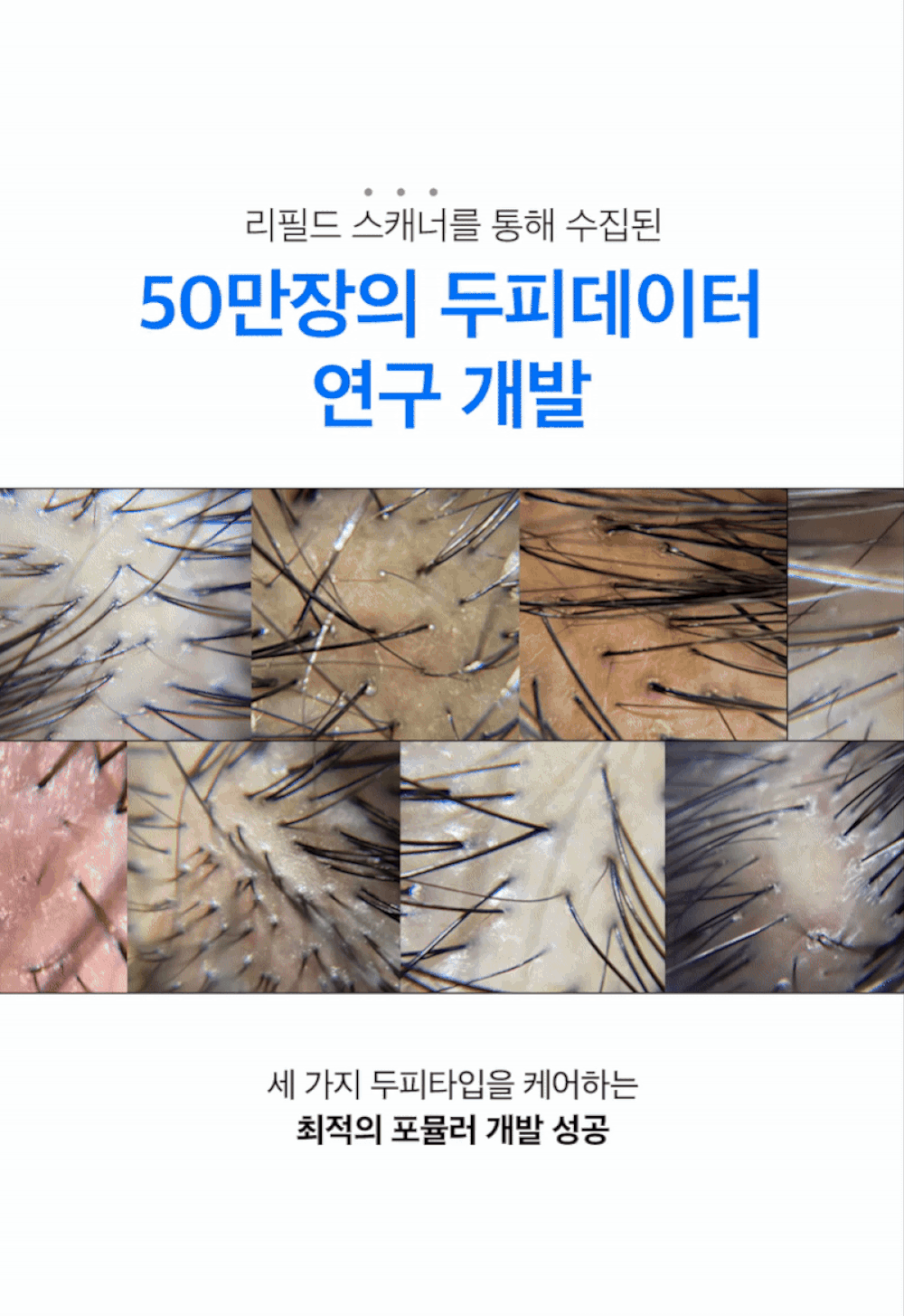 8.gif