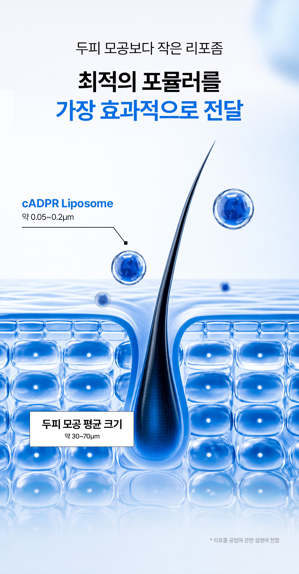 리필드 사이토카인 cADPR 헤어토닉 부스터 프로 70ml 2개 두피앰플