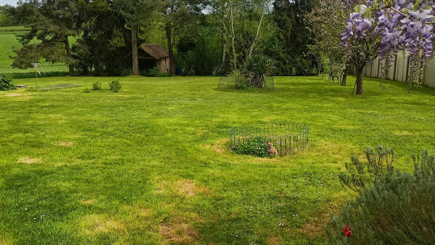 Entretien de jardin à Bouloire