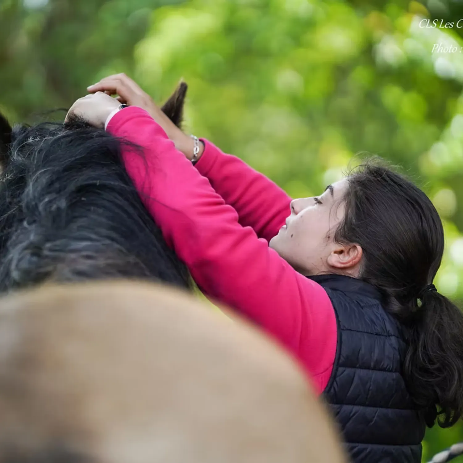 Initiation équestre