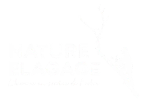 logo-Nature Élagage