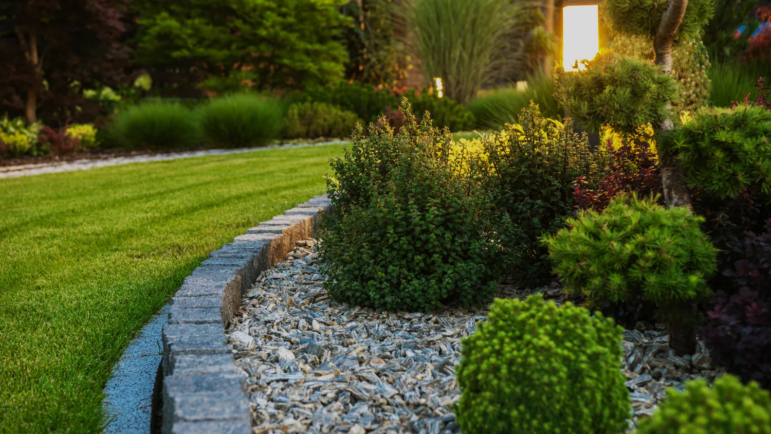 Photographie d'un jardin