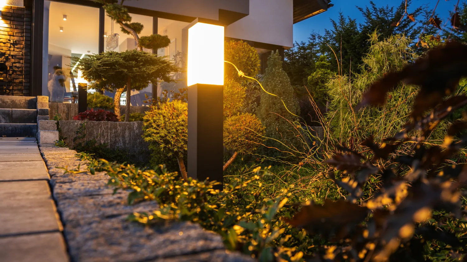 Jardin 1