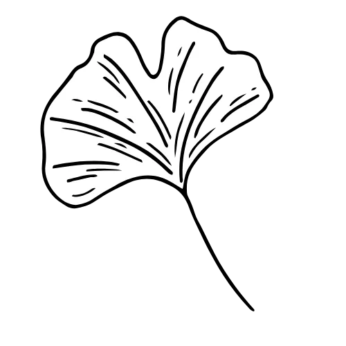 Dessin de feuille