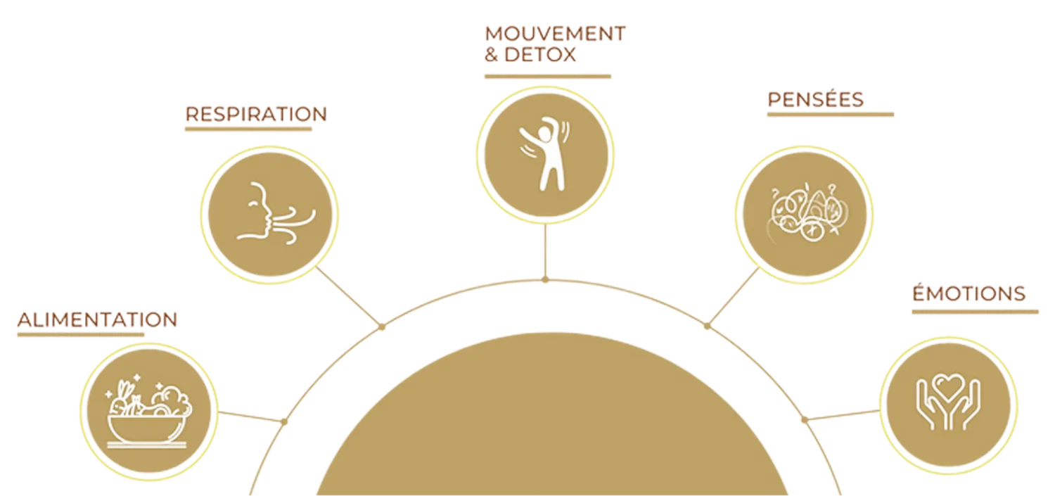 énergie lumière douceur