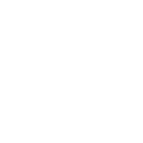 Frelons, guêpes et abeilles