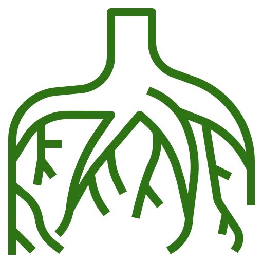 Suppression complète