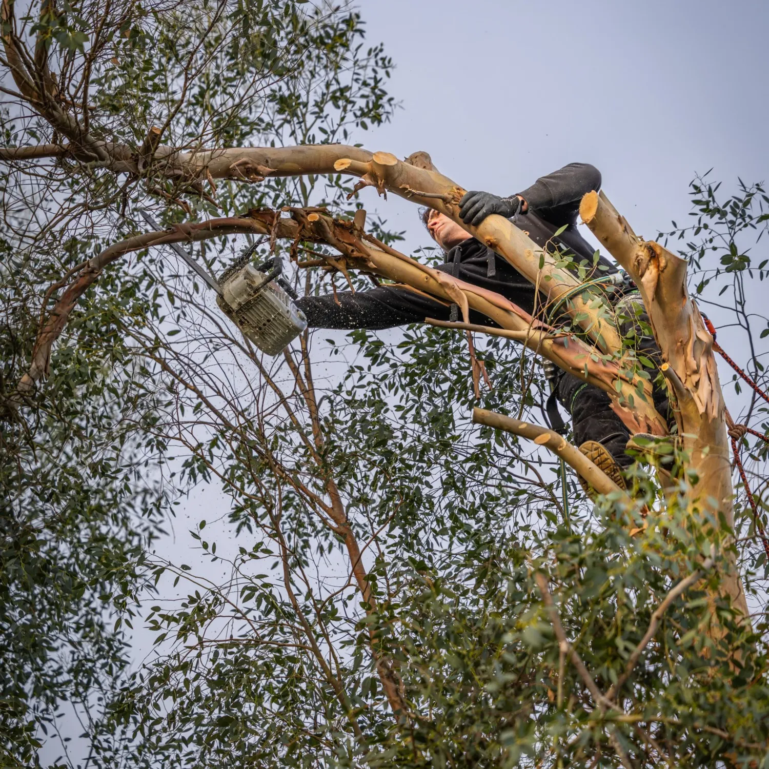 Réalisation YRIS Paysage