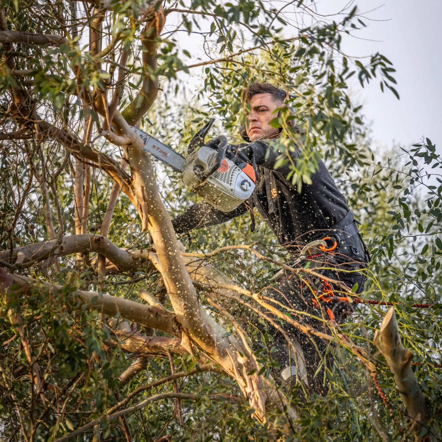 Plantation & engazonnement et entretien d'espaces verts