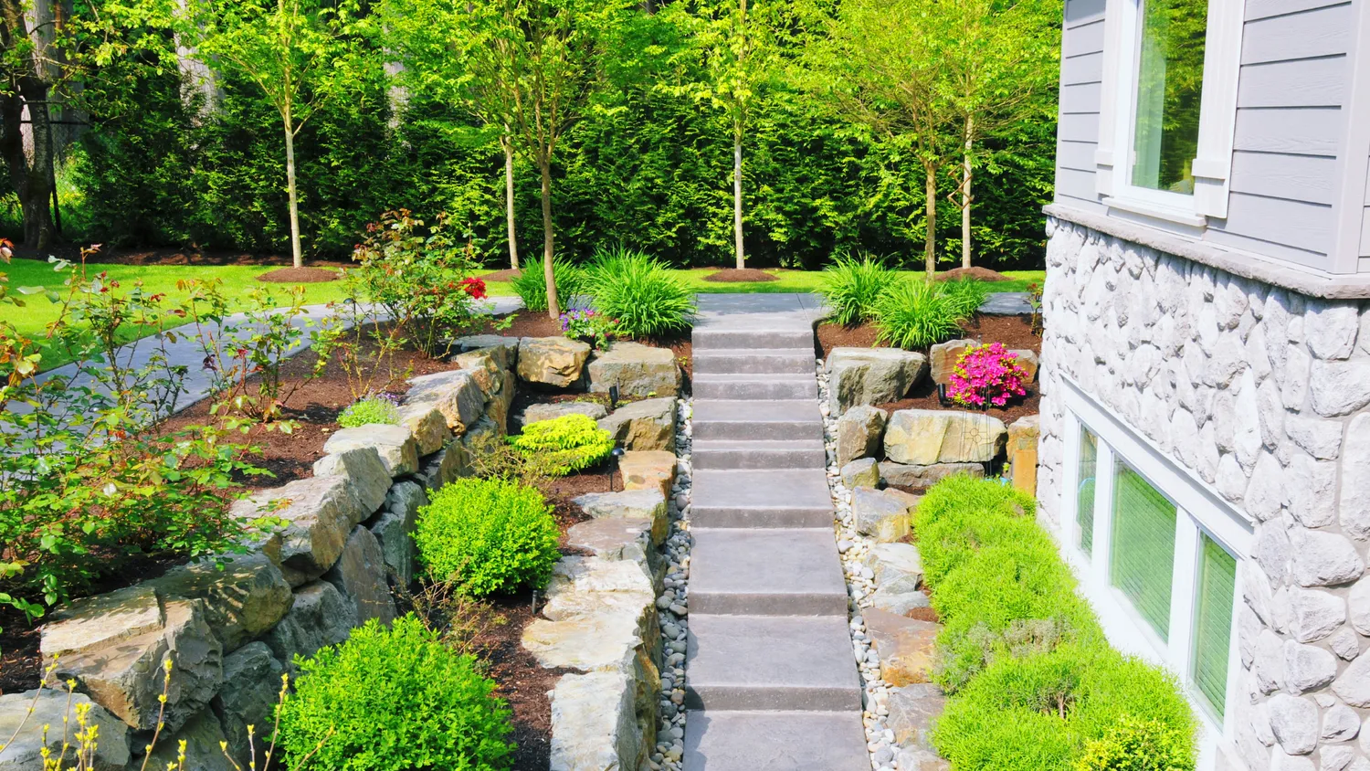 Jardin 1