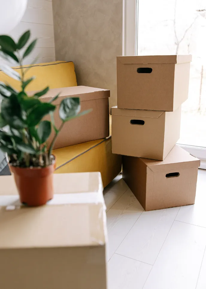 Alliance Services - Professionnel au travail