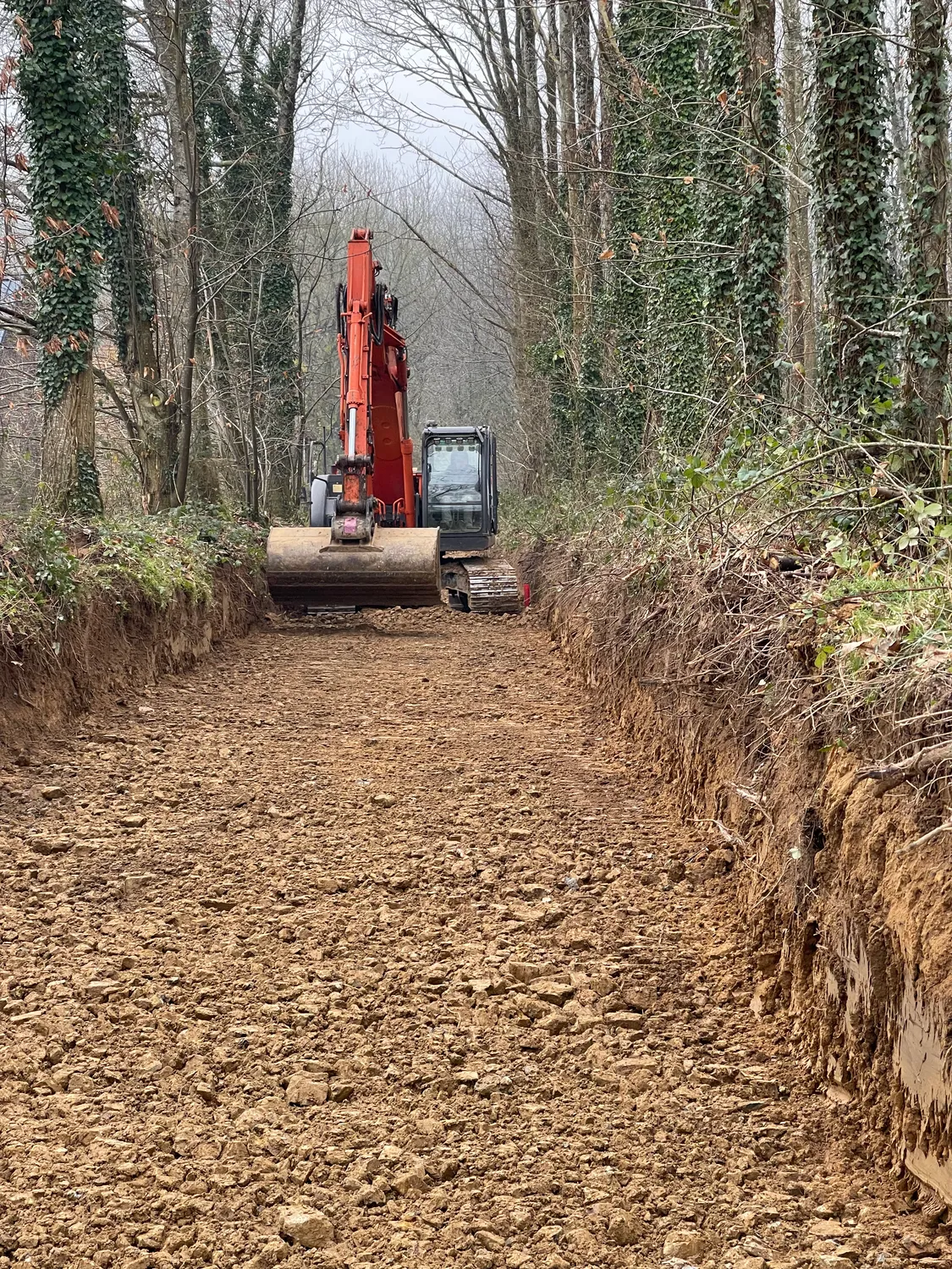 Chantier de travaux forestiers SARL Asline