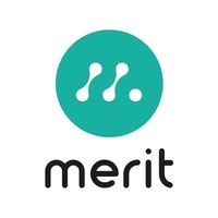 MERIT GROUP logo