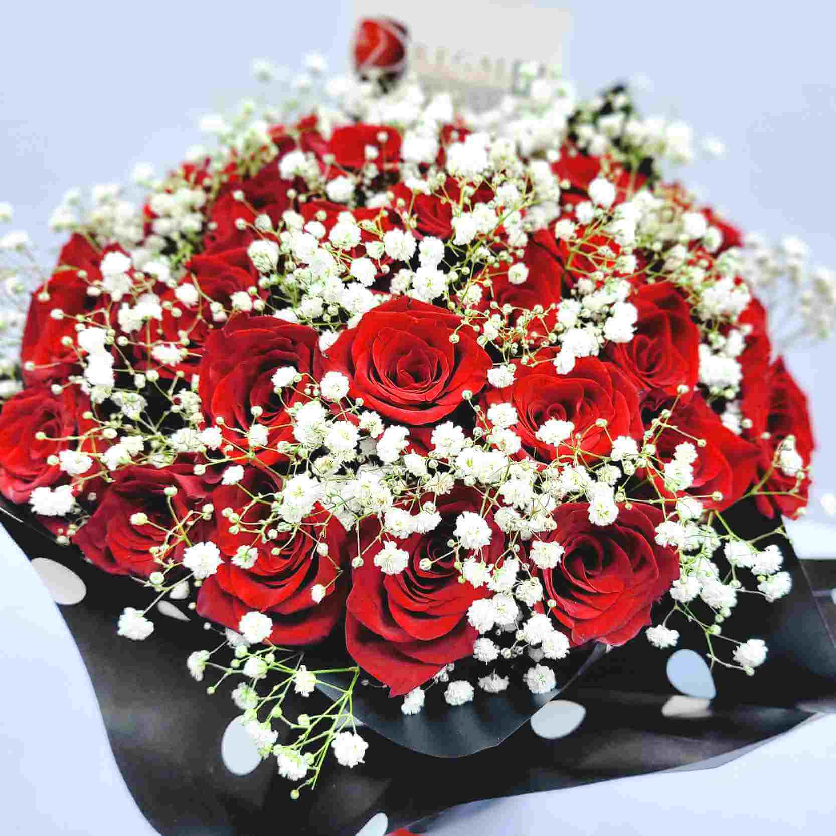 Regal Classic Roses are Red Red Roses with Gypso 4_9_11zon