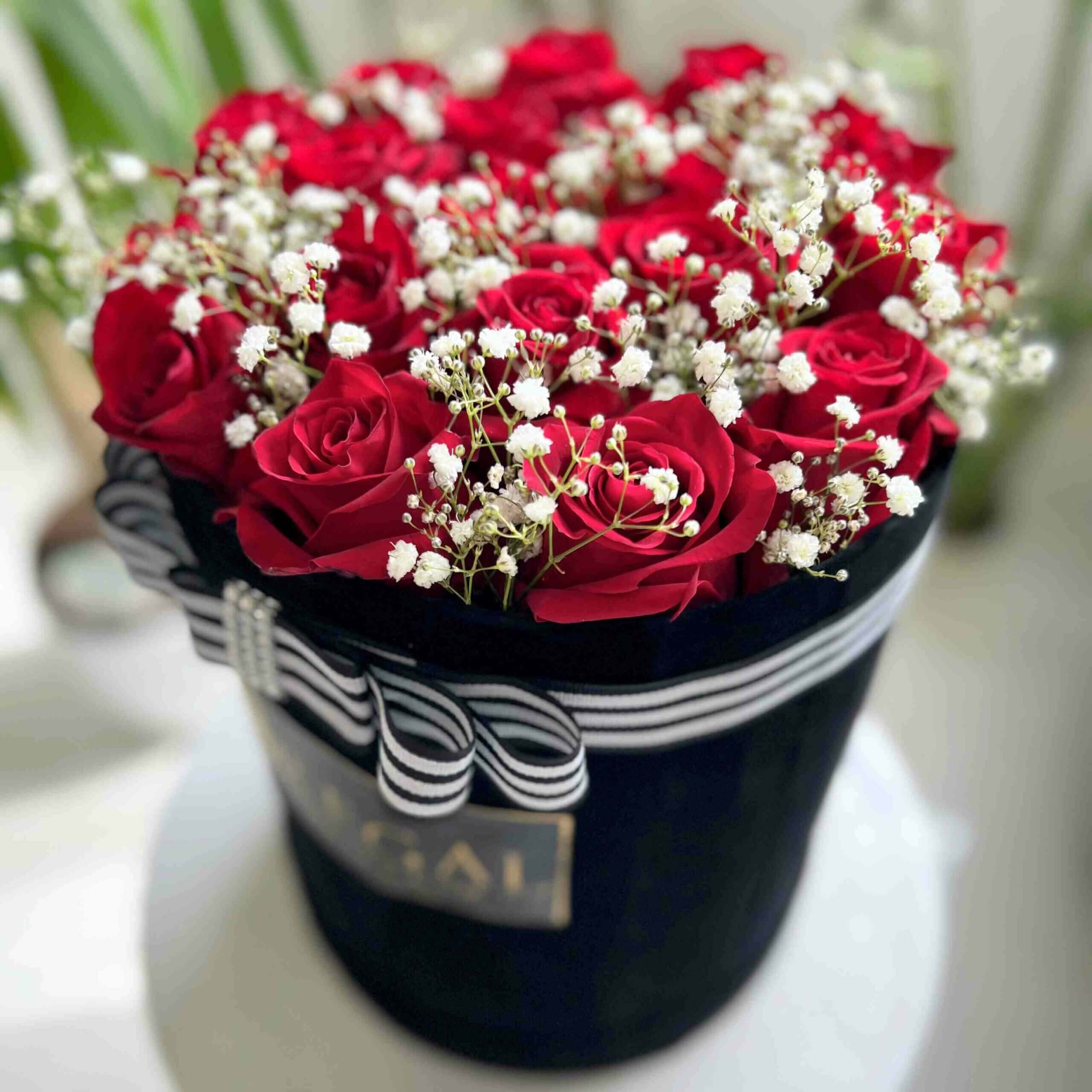 Regal REd rose with million stars Box_11zon