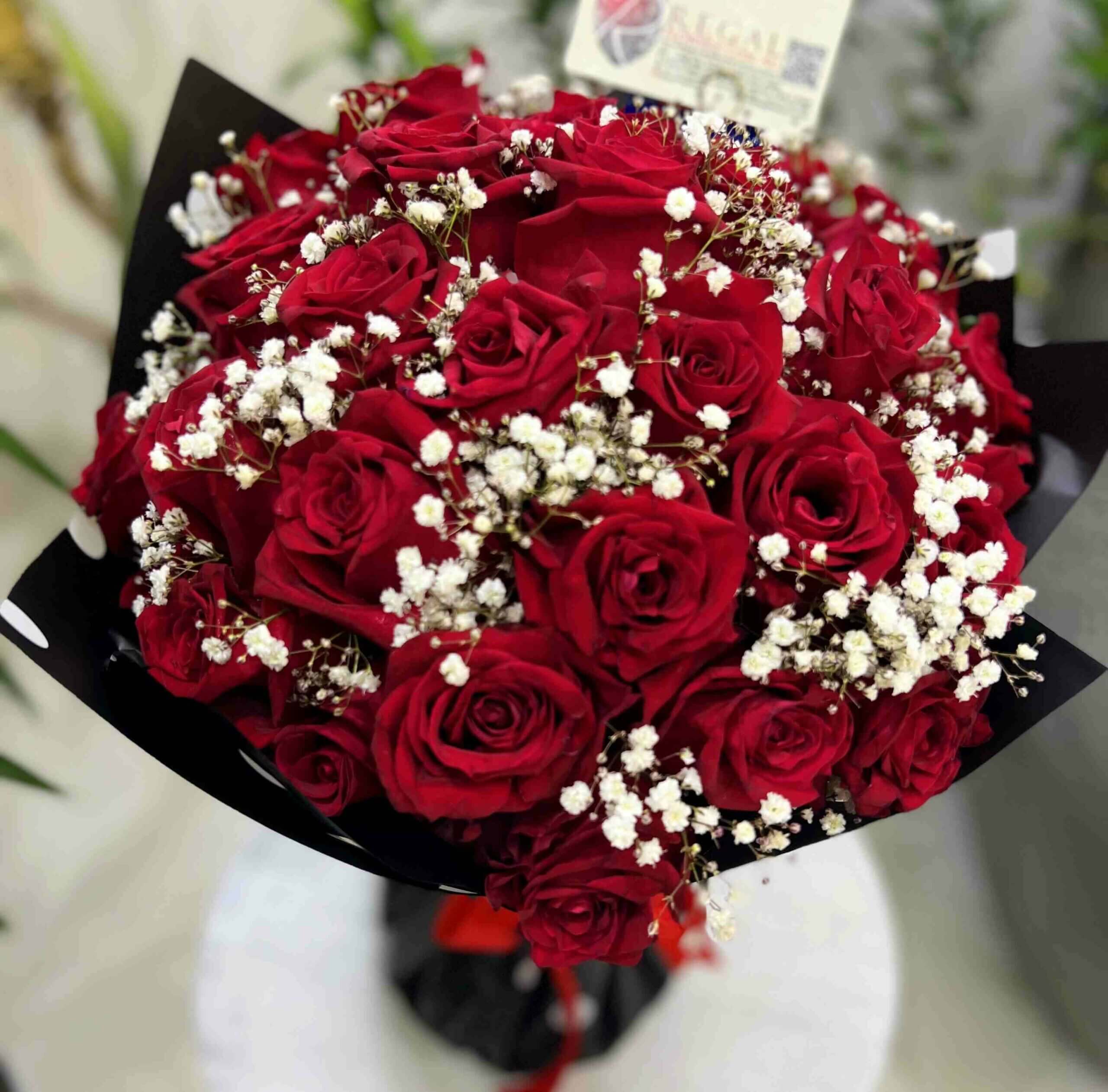 Regal Red Roses, Red Roses and MIllion stars_11zon