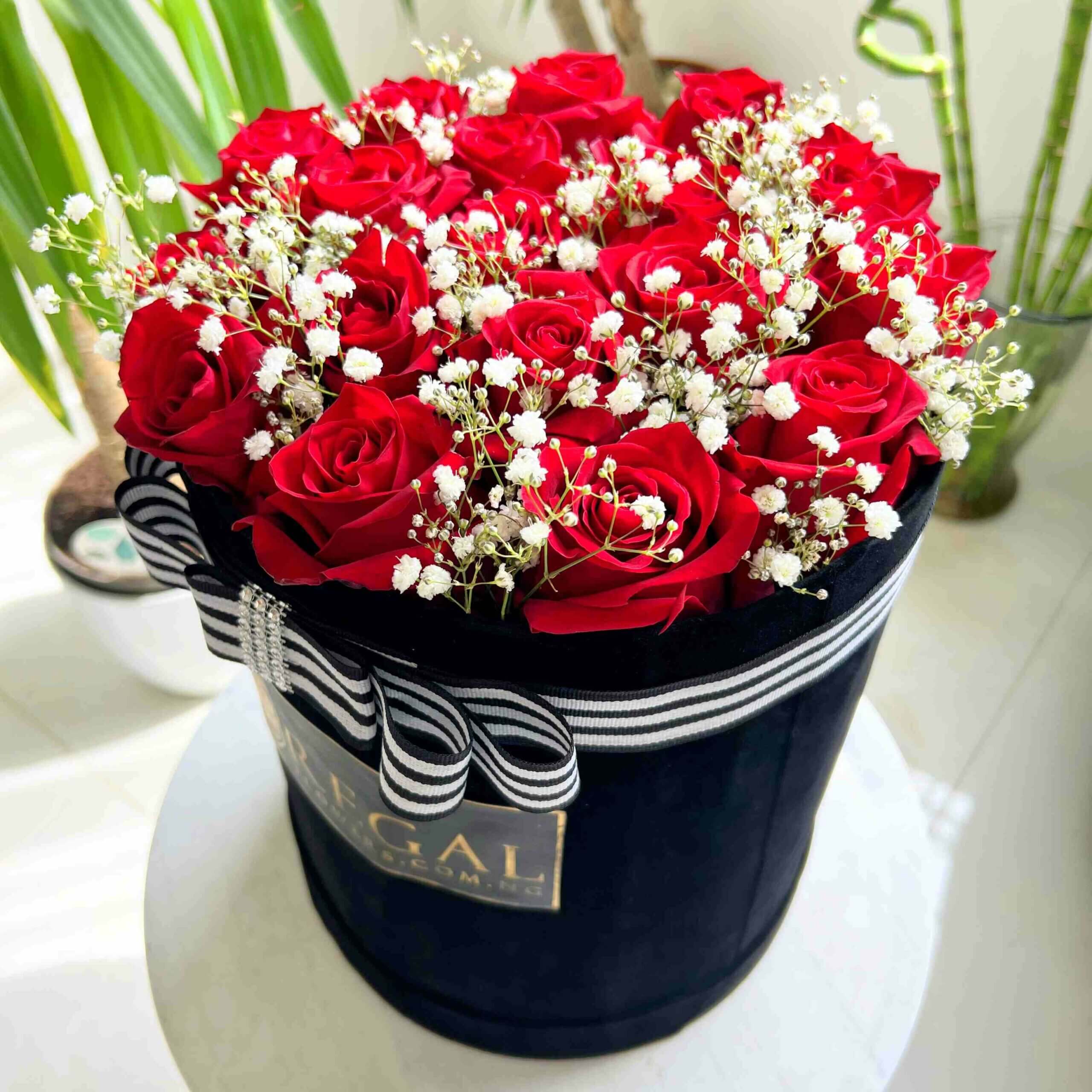 Regal Red Roses and Million stars Box_11zon