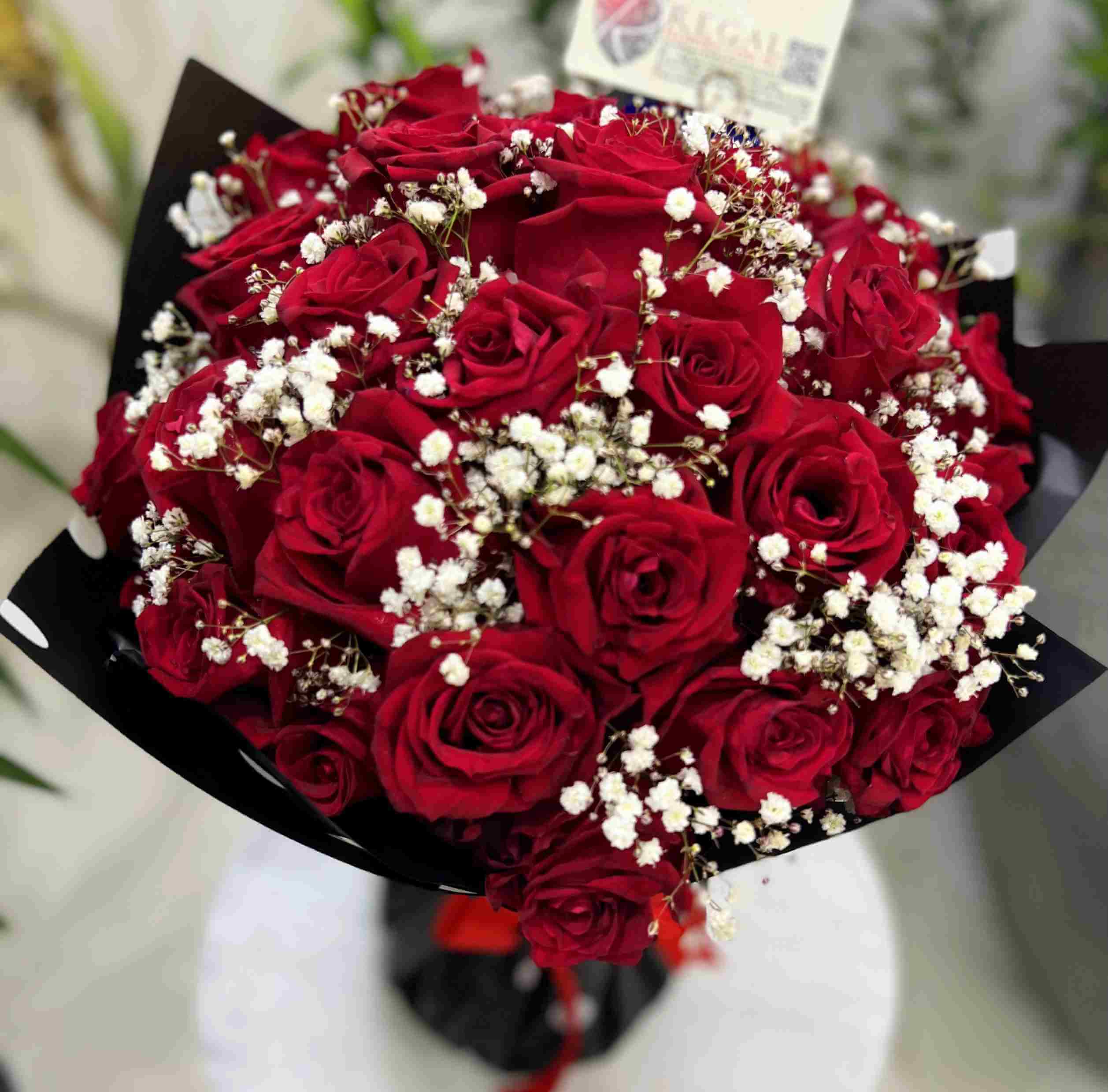 Regal Red Roses, Red Roses and MIllion stars_11zon (1)