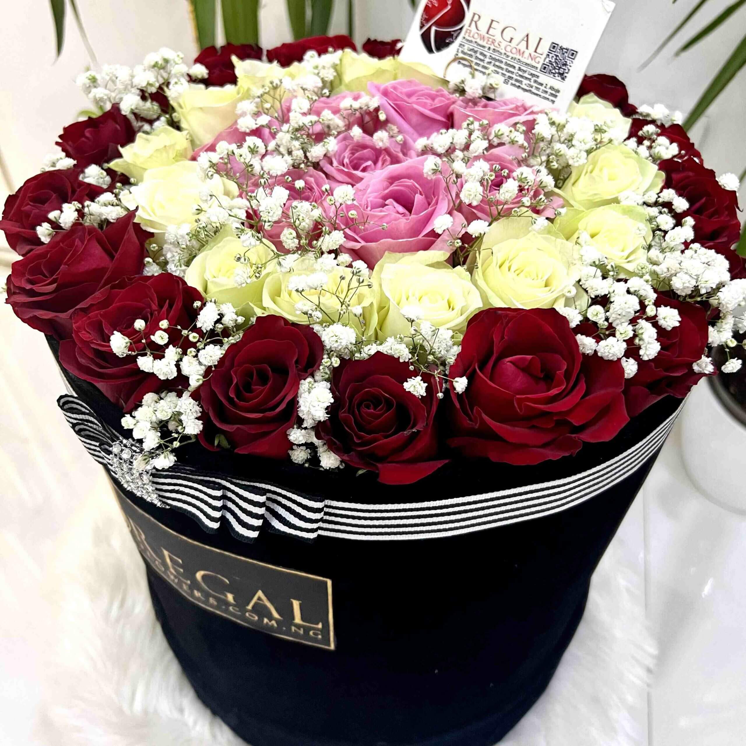 Regal Belleza Box Arra_11zon