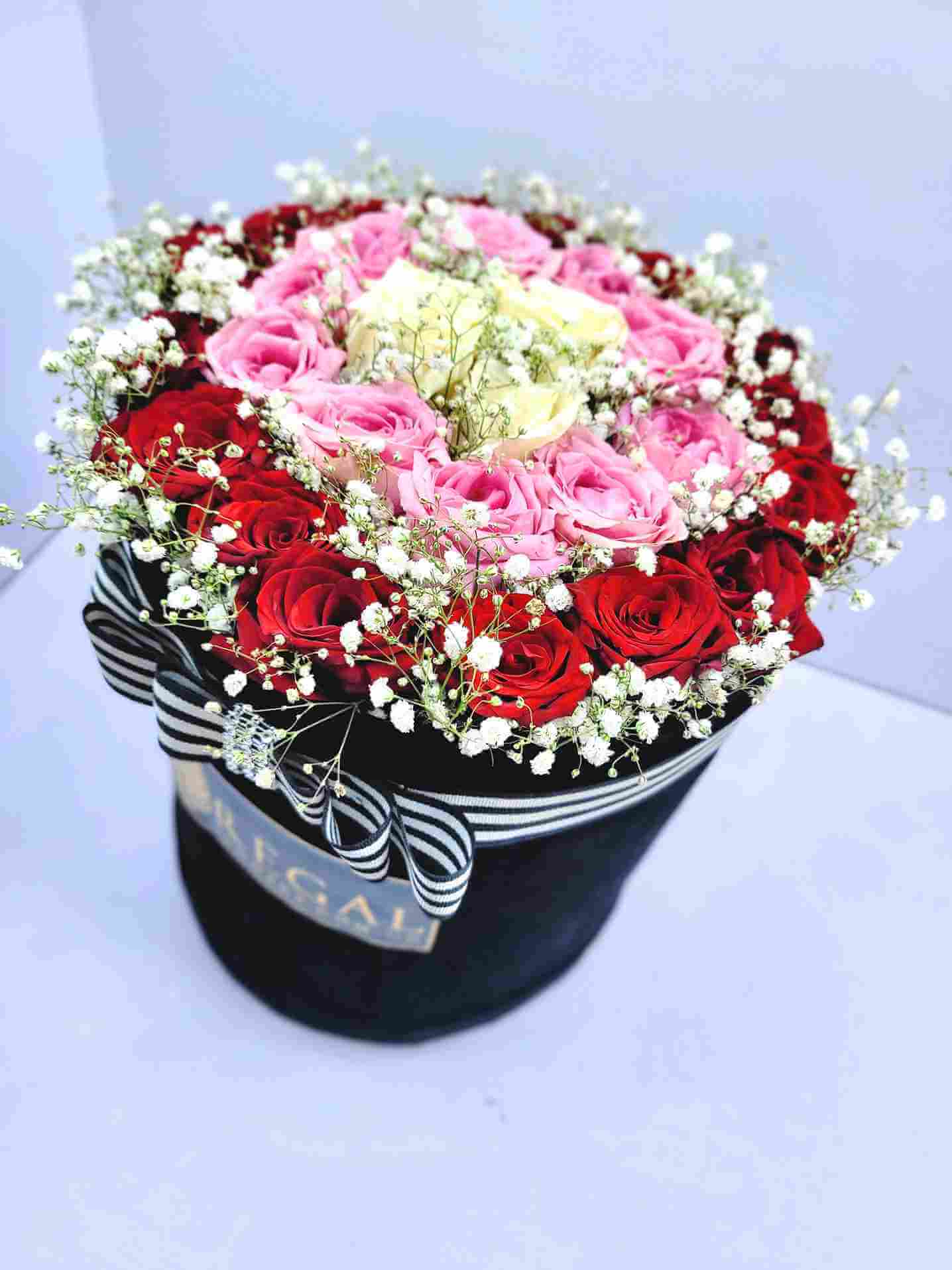 Regal Belleza by Regal Red Roses White Roses and Pink Roses with Million Stars 8_4_11zon