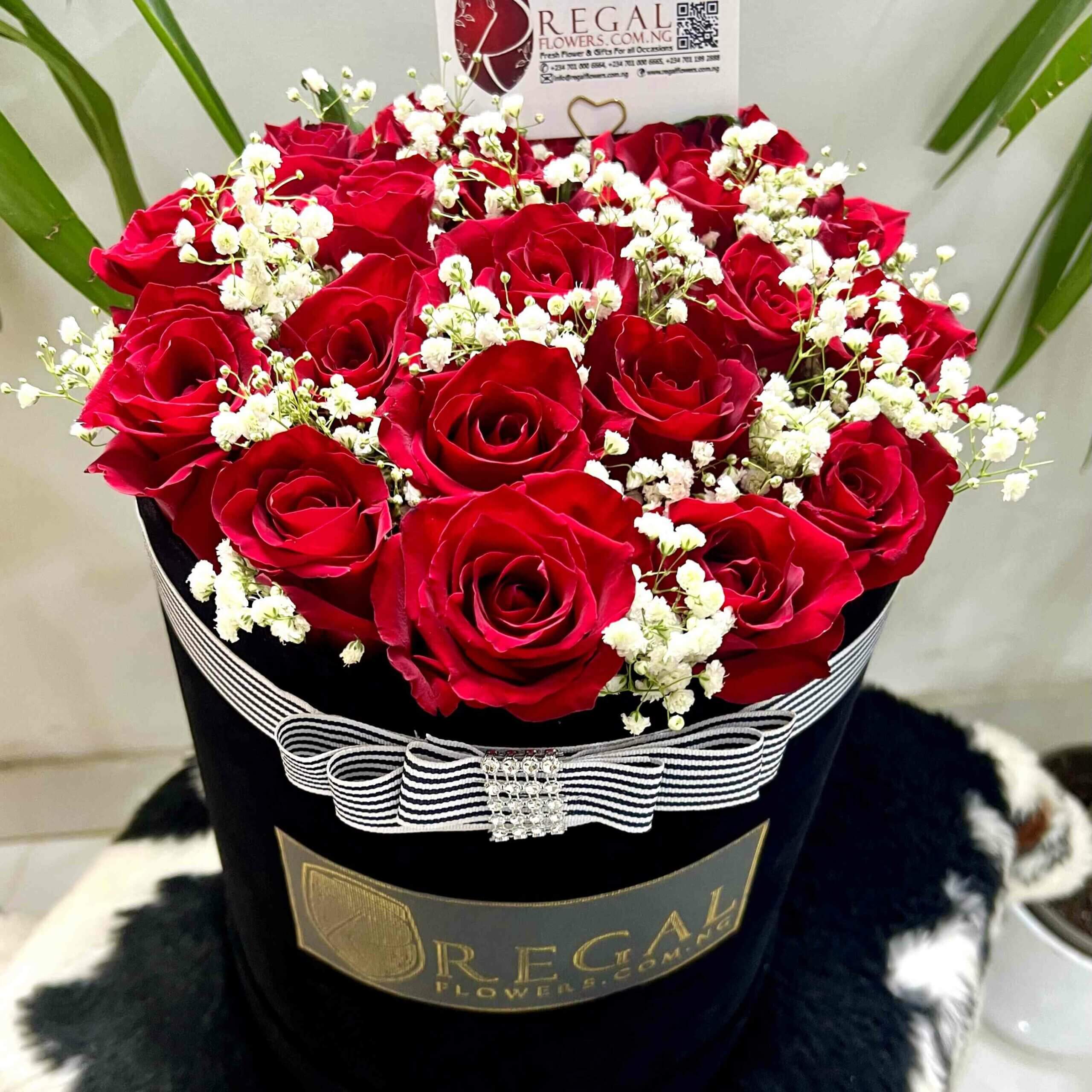 Regal Red Roses and Million Stars_11zon