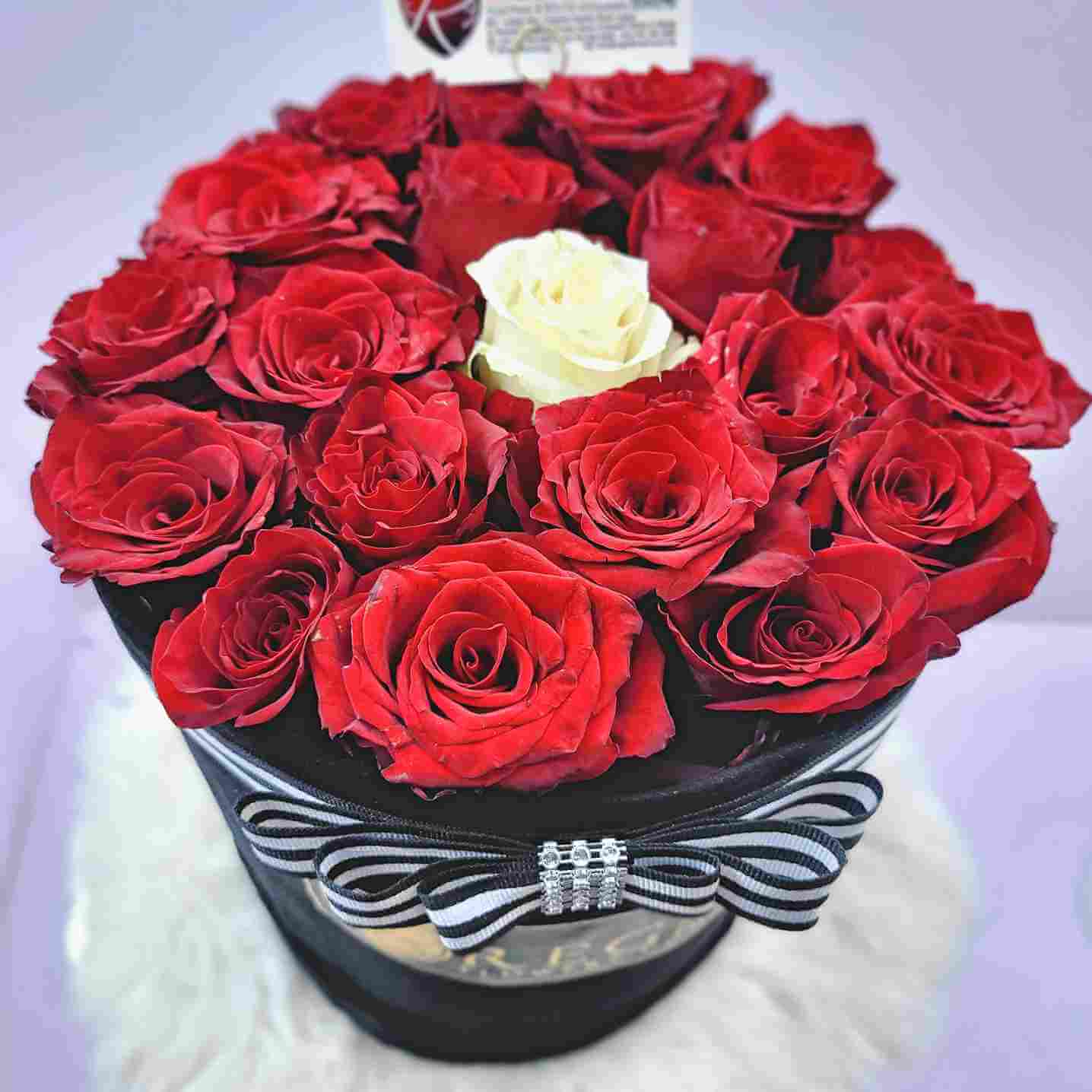 Regal The One Red Roses and White Roses 3_12_11zon