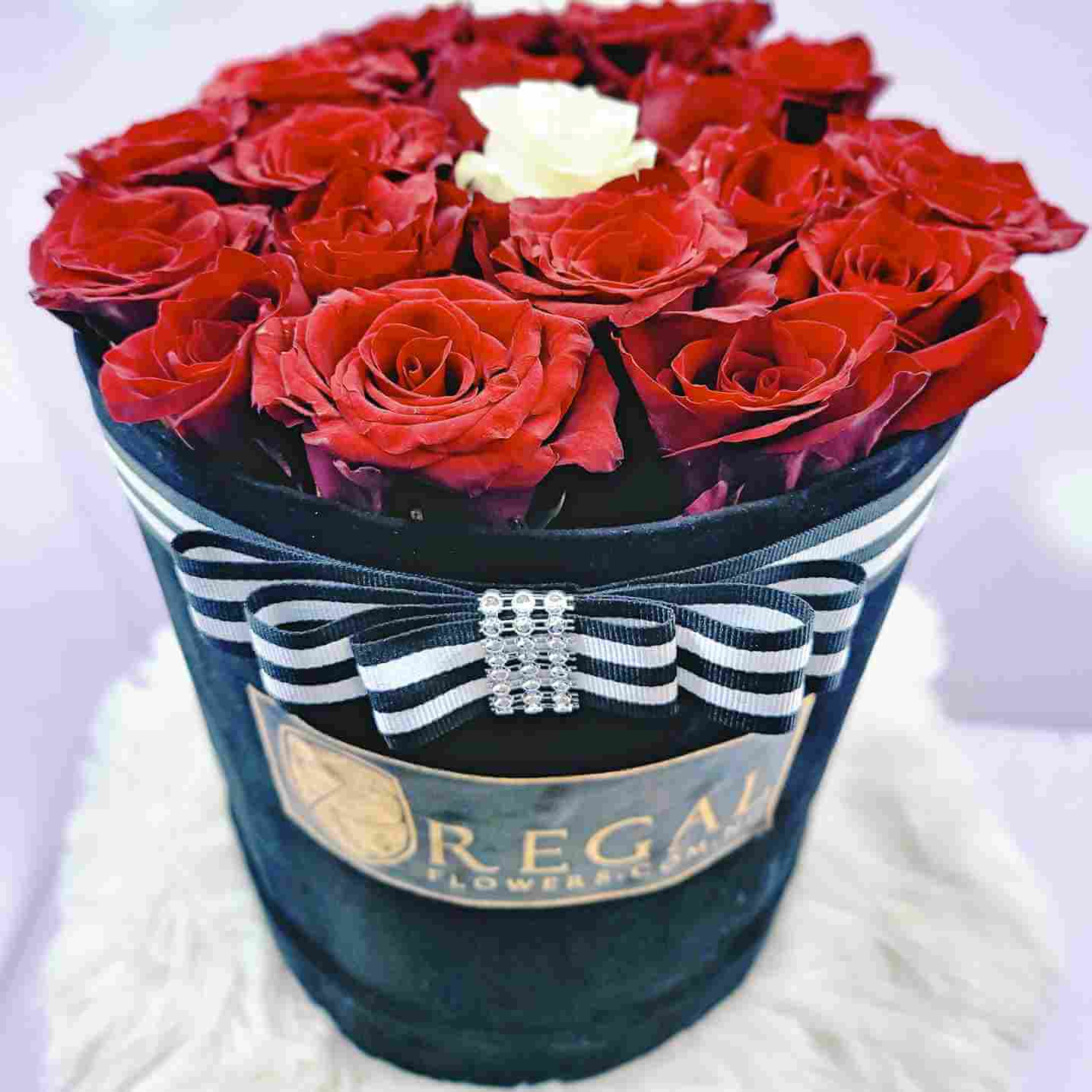 Regal The One Red Roses and White Roses 4_18_11zon