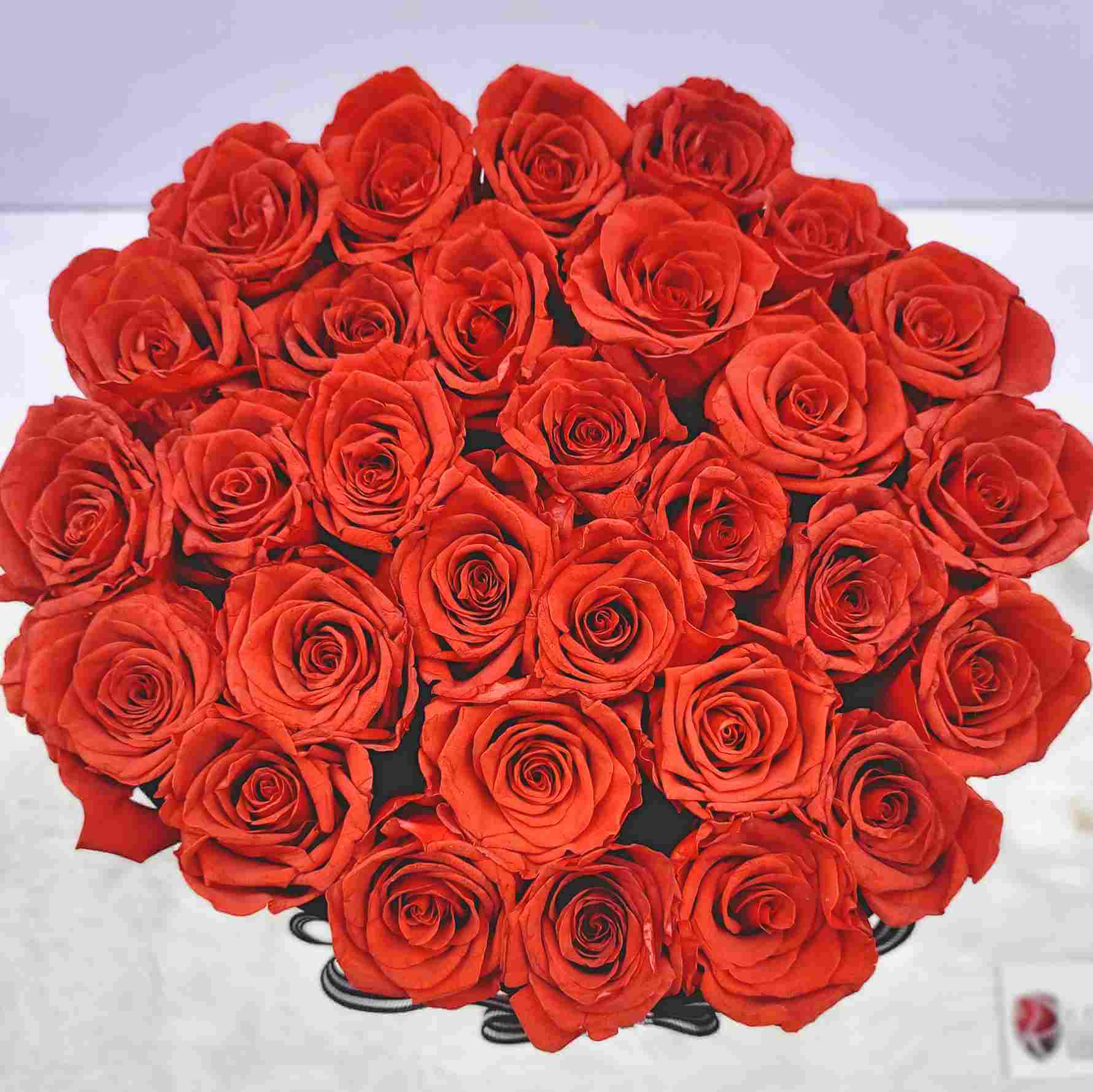 Regal Forever Red Rose 5_29_11zon
