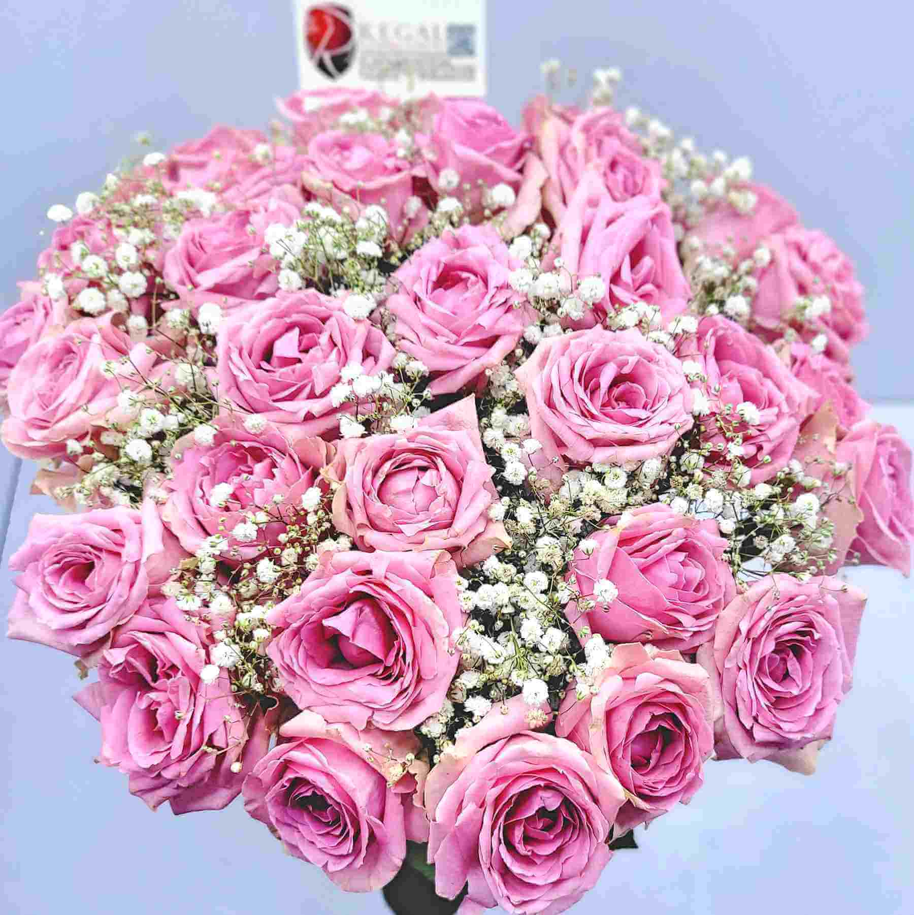 Regal Simply Sweet Pink Roses with Million Stars in a Vase_9_11zon