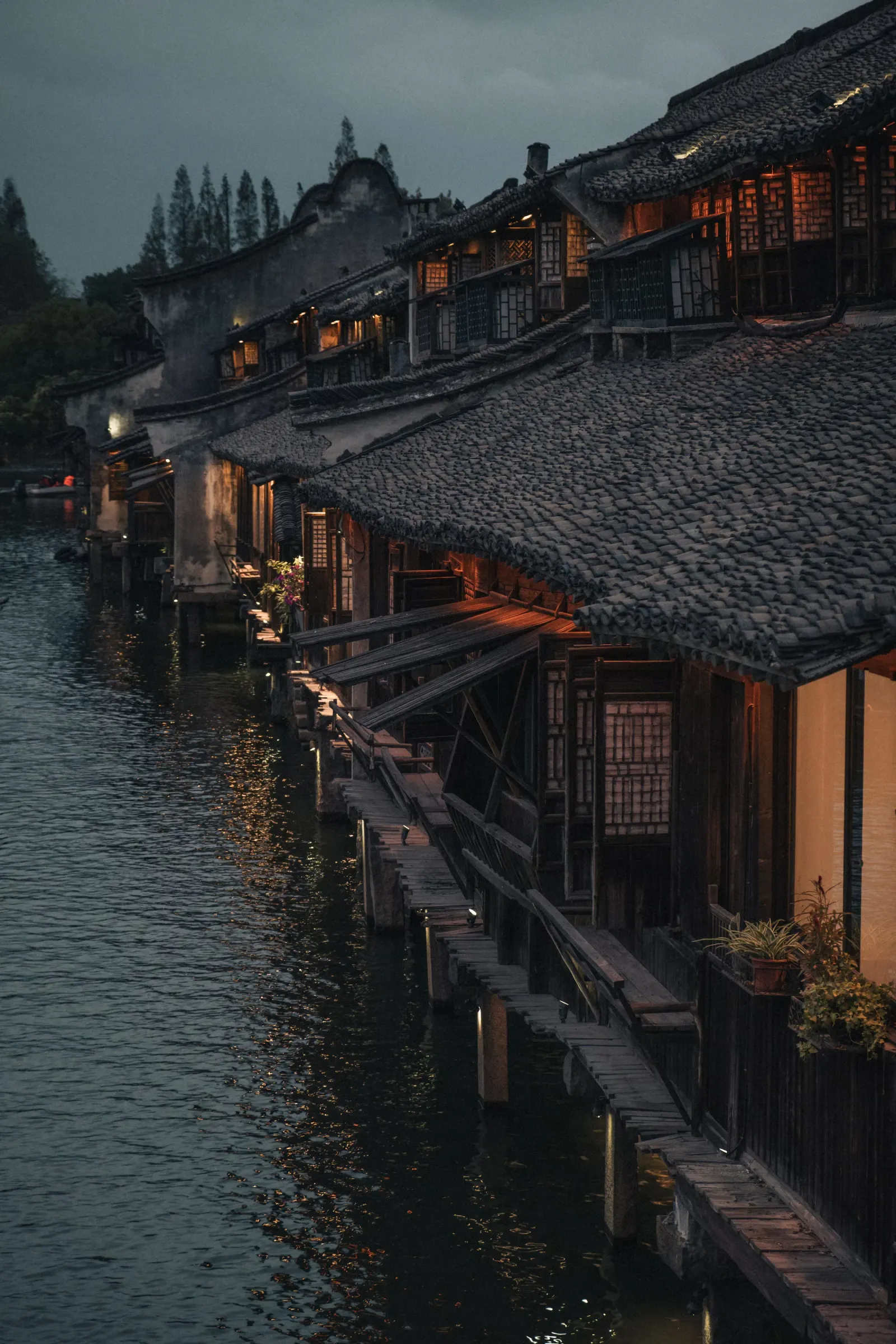 Photo de wuzhen le soir, avec les façades des canaux allumées. Guide étudiant