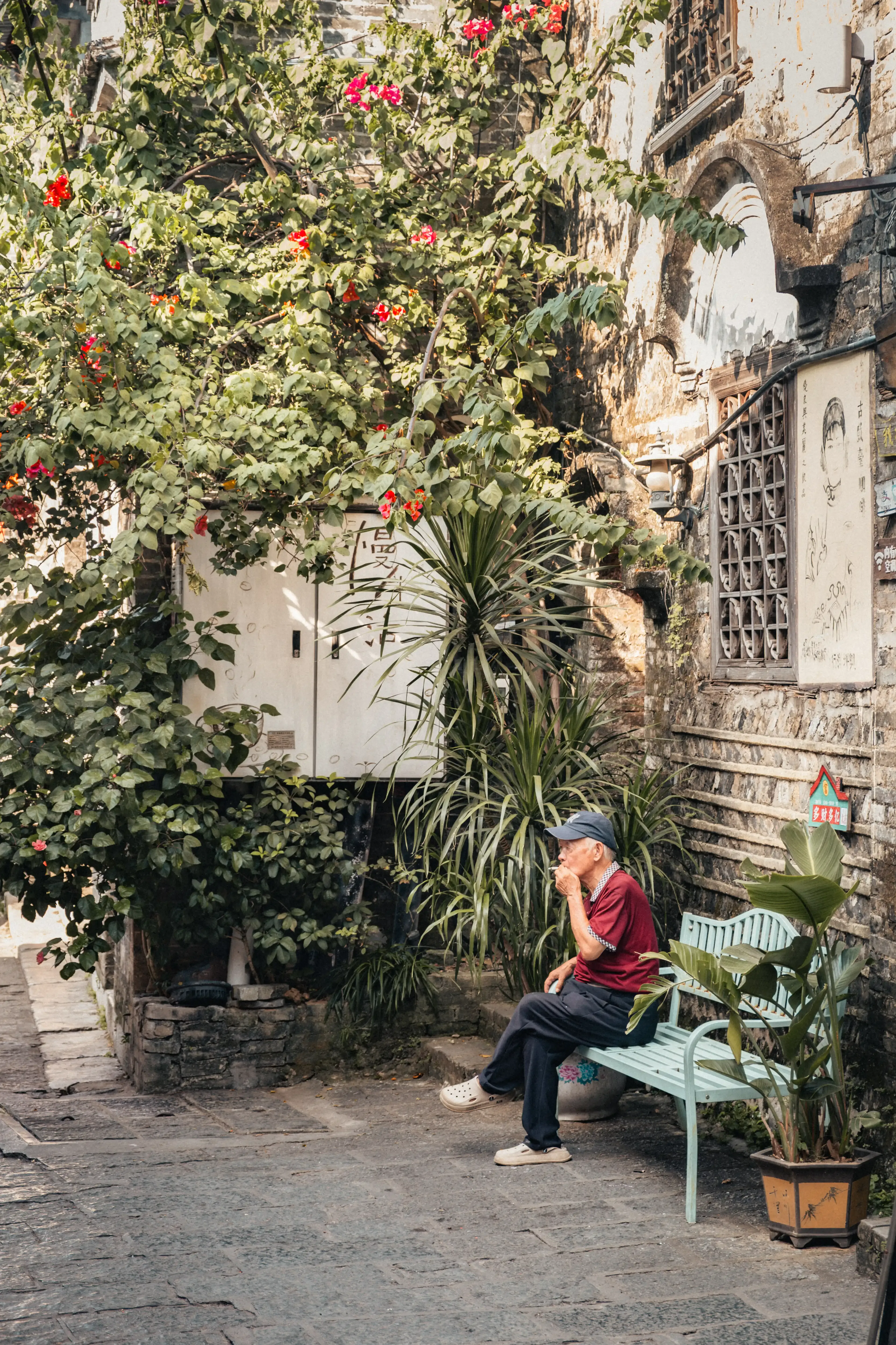 Homme âgé fumant sur un banc devant un mur de pierres couvert de plantes grimpantes, Yangshuo