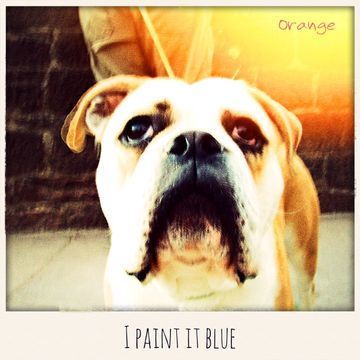 I Paint It Blue