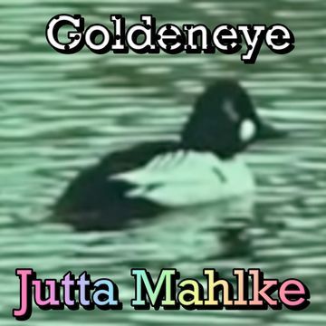 Goldeneye