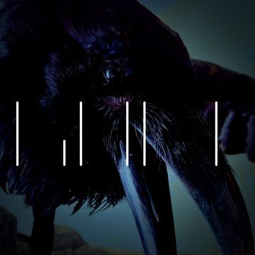 Crow