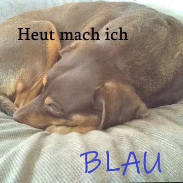 Heut mach ich blau