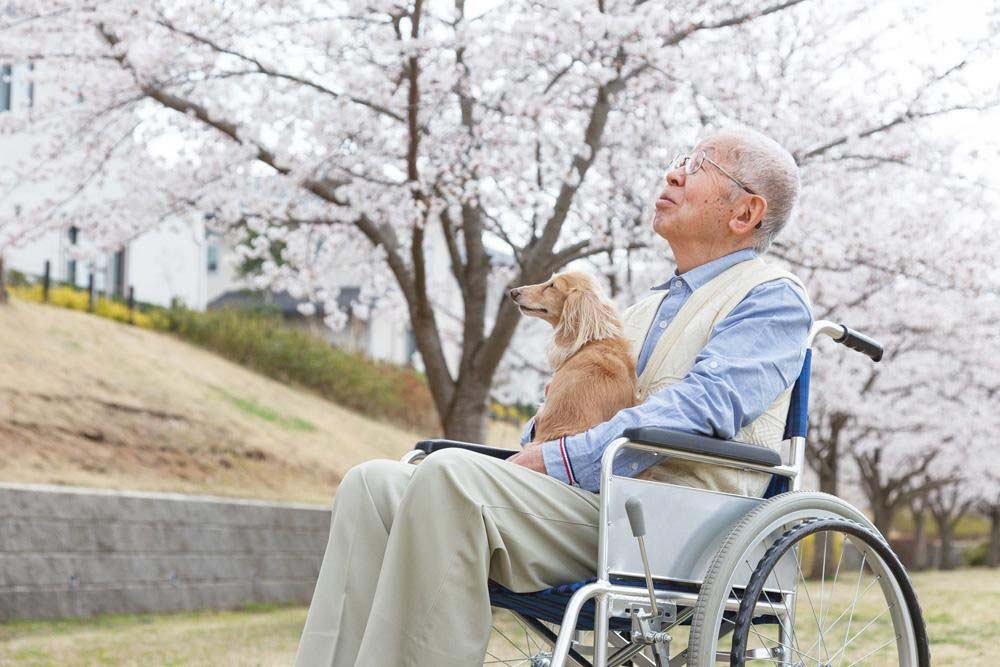 生命給你的只能好壞照單全收