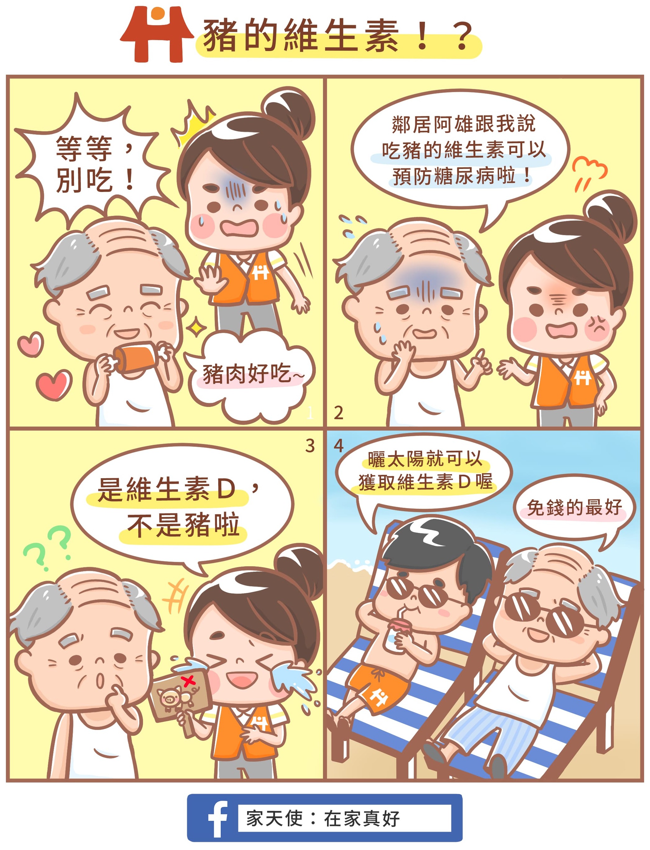 豬的維生素