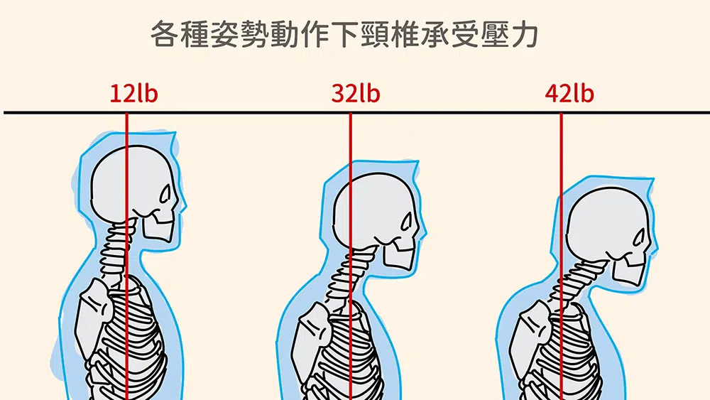 頸椎承受的重量