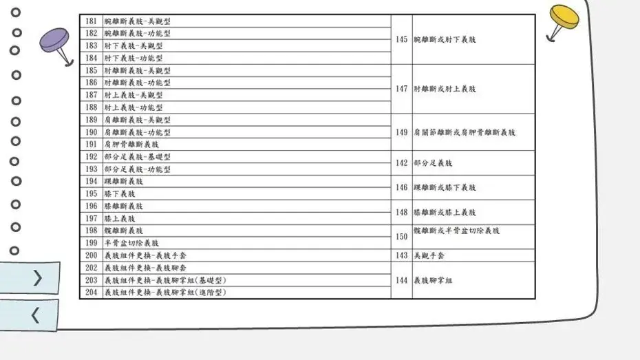 輔具項目細分