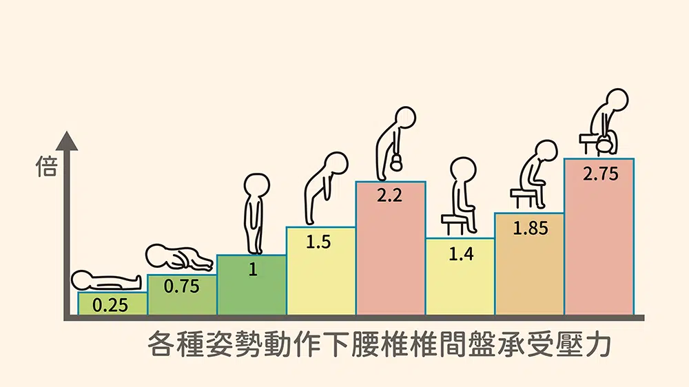 坐姿下的腰椎受力