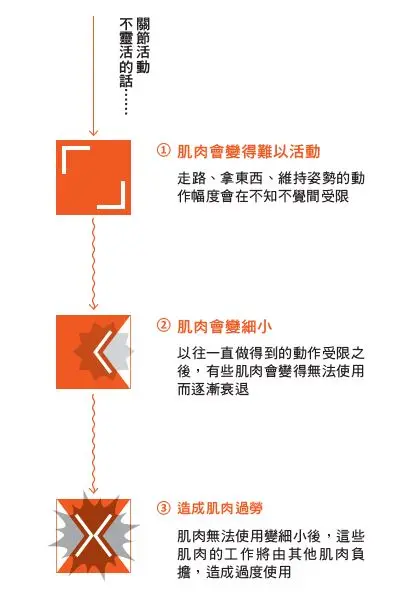 關節活動