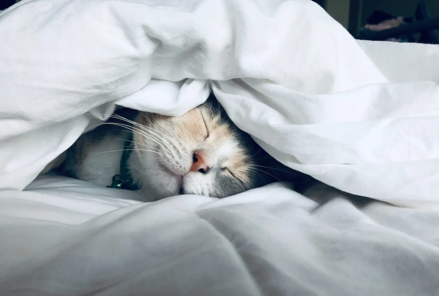 充足的睡眠