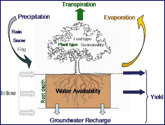 Annual watercycle