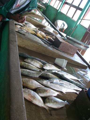 _images/Belize_Fish_Cleaning_Table.jpg